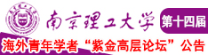 男人的鸡插进女人的鸡南京理工大学第十四届海外青年学者紫金论坛诚邀海内外英才！